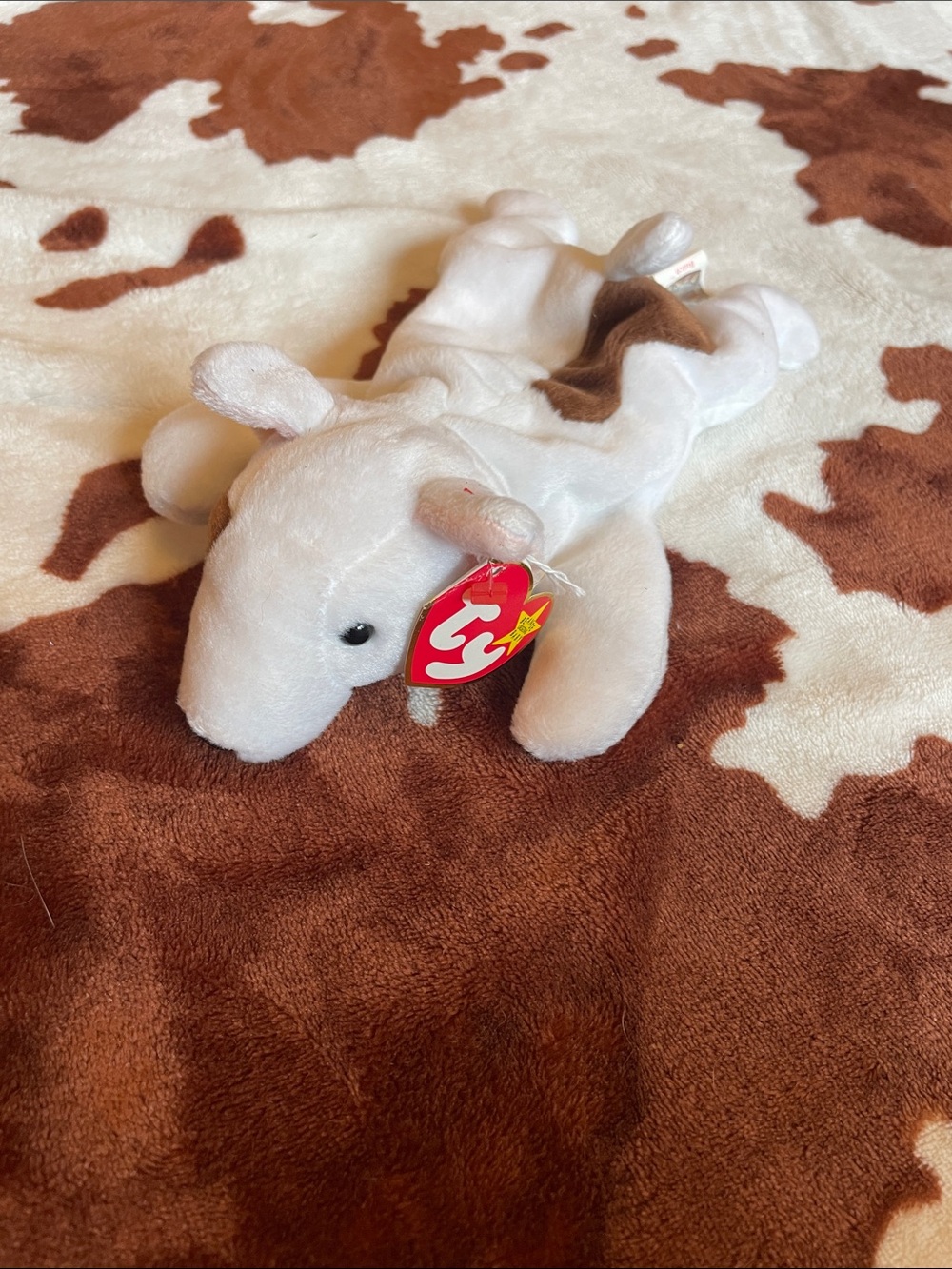 Ty White and Brown dog Beanie Plush with Heart Tag